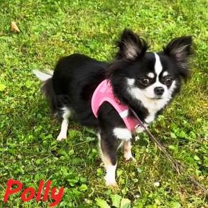 Pina und Polly_5