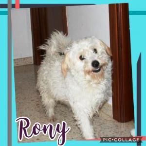 Rony